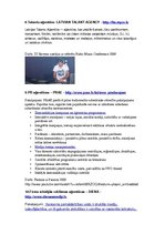 Konspekts 'Reklāmas aģentūru veidi', 4.