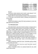 Prakses atskaite 'SIA "X" finanšu analīze', 13.