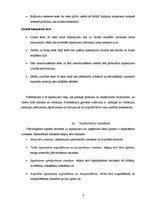 Referāts 'Iepakojuma nozīme produkta virzīšanai tirgū', 6.