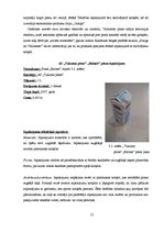 Referāts 'Iepakojuma nozīme produkta virzīšanai tirgū', 13.