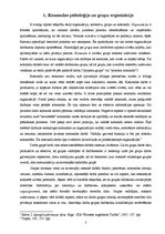 Referāts 'Komandas psiholoģija - psiholoģiskās saderības jautājums', 2.