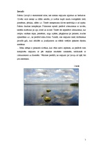 Referāts 'Mārketinga plāns', 3.