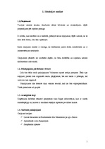 Referāts 'Mārketinga plāns', 5.