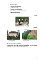 Referāts 'Mārketinga plāns', 6.