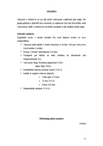 Referāts 'Mārketinga plāns', 10.