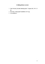 Referāts 'Mārketinga plāns', 15.