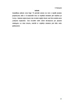 Referāts 'Mārketinga plāns', 20.