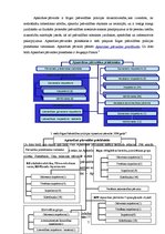 Prakses atskaite 'Rīgas Pašvaldības policijas Apsardzes pārvalde', 7.