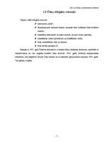 Referāts 'Čeki, to emisija un pielietošana norēķinos', 7.