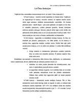 Referāts 'Čeki, to emisija un pielietošana norēķinos', 8.