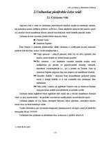 Referāts 'Čeki, to emisija un pielietošana norēķinos', 13.