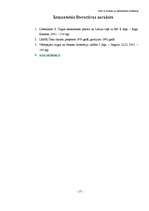 Referāts 'Čeki, to emisija un pielietošana norēķinos', 17.