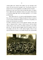 Referāts 'Tērvetes skola laiku lokos', 18.