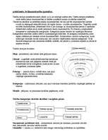 Konspekts 'Tiesību teorija', 2.