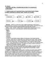 Konspekts 'Tiesību teorija', 50.