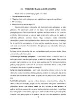 Referāts 'Tirdzniecības vietas izpēte', 8.