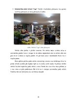 Referāts 'Tirdzniecības vietas izpēte', 10.