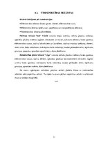 Referāts 'Tirdzniecības vietas izpēte', 11.