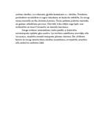 Konspekts 'Losandželosas smogs', 2.