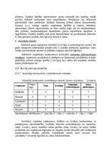 Referāts 'A/S "AirBaltic" mārketinga vides un stratēģijas analīze un darbības plānošana', 13.