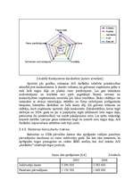 Referāts 'A/S "AirBaltic" mārketinga vides un stratēģijas analīze un darbības plānošana', 14.