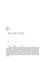 Referāts 'A/S "AirBaltic" mārketinga vides un stratēģijas analīze un darbības plānošana', 17.