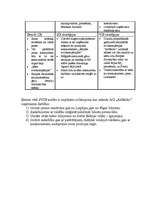 Referāts 'A/S "AirBaltic" mārketinga vides un stratēģijas analīze un darbības plānošana', 22.