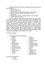 Referāts 'A/S "AirBaltic" mārketinga vides un stratēģijas analīze un darbības plānošana', 24.