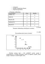 Referāts 'A/S "AirBaltic" mārketinga vides un stratēģijas analīze un darbības plānošana', 25.