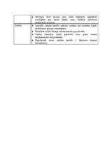 Referāts 'A/S "AirBaltic" mārketinga vides un stratēģijas analīze un darbības plānošana', 29.