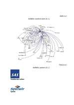 Referāts 'A/S "AirBaltic" mārketinga vides un stratēģijas analīze un darbības plānošana', 34.