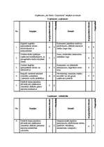 Referāts 'A/S "AirBaltic" mārketinga vides un stratēģijas analīze un darbības plānošana', 37.