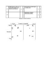 Referāts 'A/S "AirBaltic" mārketinga vides un stratēģijas analīze un darbības plānošana', 39.