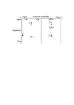 Referāts 'A/S "AirBaltic" mārketinga vides un stratēģijas analīze un darbības plānošana', 40.