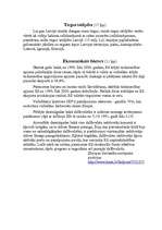 Referāts 'A/S "AirBaltic" mārketinga vides un stratēģijas analīze un darbības plānošana', 41.