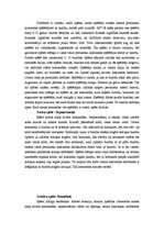 Konspekts 'Dažādu tautu, etnisko grupu rotaļas un spēles', 3.