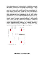 Konspekts 'Dažādu tautu, etnisko grupu rotaļas un spēles', 4.