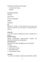 Konspekts 'E-komercija pasaulē un Latvijā; e-komercijas attīstības koncepcija', 11.