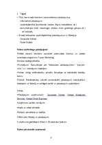 Konspekts 'E-komercija pasaulē un Latvijā; e-komercijas attīstības koncepcija', 17.