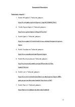 Referāts 'Opera "Parīzes Dievmātes katedrāle"', 17.