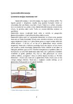 Konspekts 'Netradicionālie enerģijas avoti. Ģeotermālie resursi Latvijā, siltuma sūkņu veid', 8.