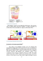 Konspekts 'Netradicionālie enerģijas avoti. Ģeotermālie resursi Latvijā, siltuma sūkņu veid', 12.