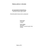 Referāts 'Zvaigznes evolūcija', 1.