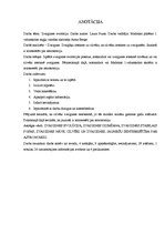 Referāts 'Zvaigznes evolūcija', 3.