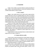 Referāts 'Zvaigznes evolūcija', 8.