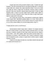 Referāts 'Zvaigznes evolūcija', 10.