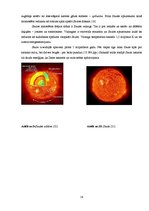 Referāts 'Zvaigznes evolūcija', 16.