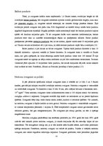 Referāts 'Zvaigznes evolūcija', 20.