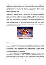 Referāts 'Zvaigznes evolūcija', 21.