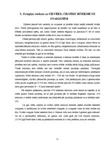 Referāts 'Zvaigznes evolūcija', 23.